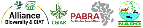 Project Logo