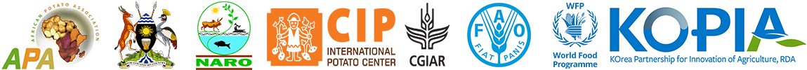 APA Logo